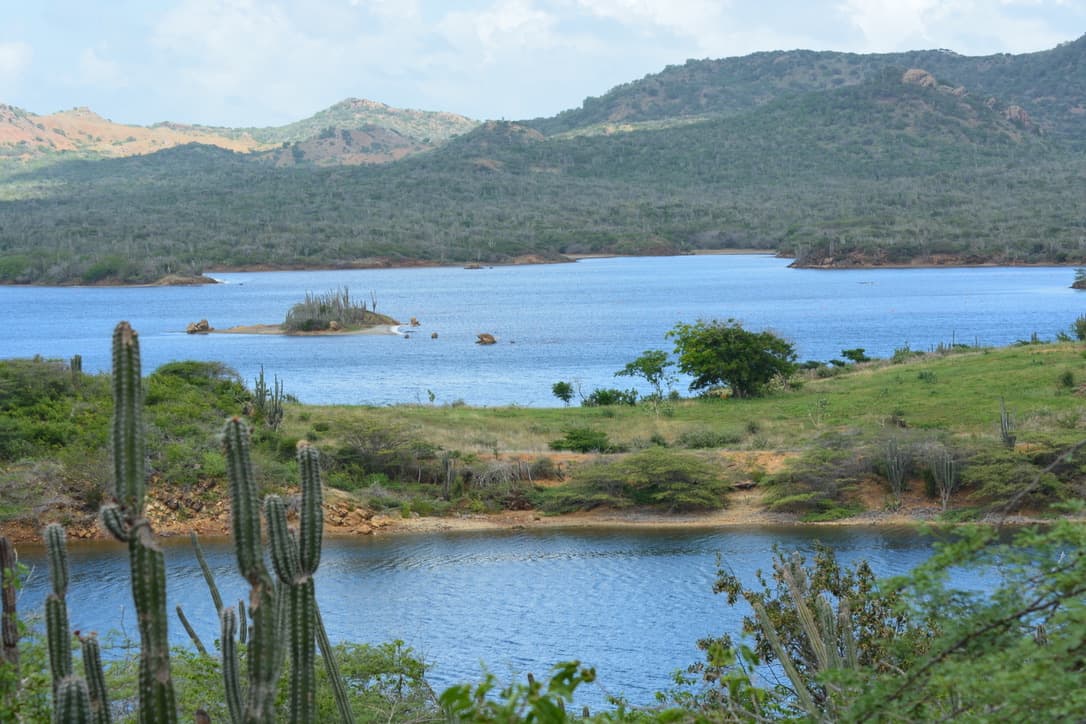 Washington Slagbaai National Park — a sheltered bay in the island's north, columnar cacti in the foreground, green hills rising behind