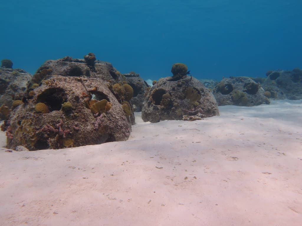 Artificial reef modules