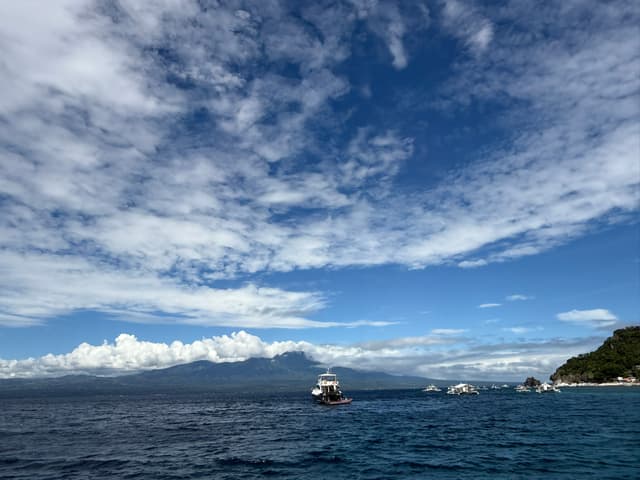 Dauin and Apo Island – Muck Diving and the Marine Sanctuary