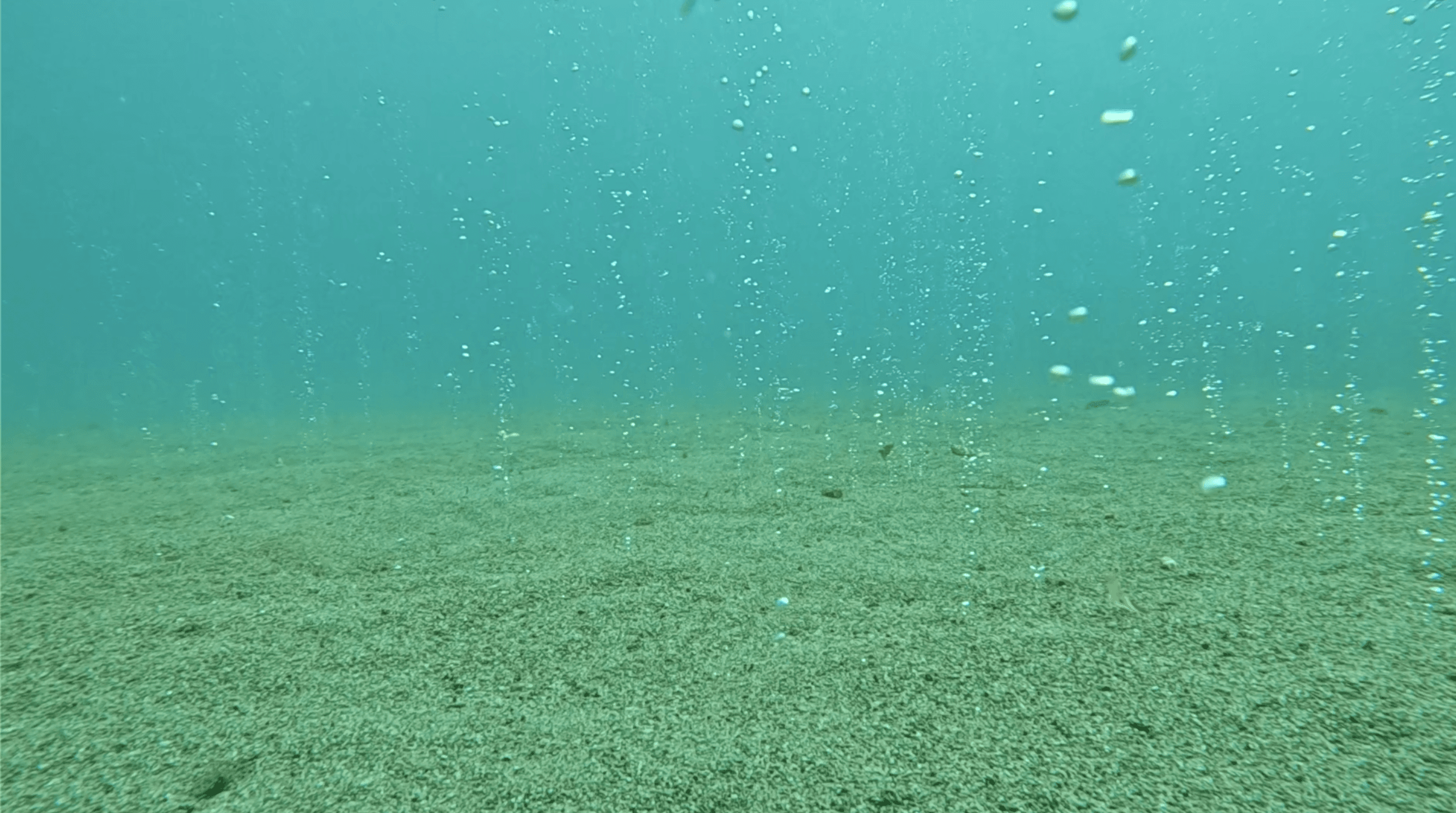 Volcanic gas bubbles rising through the sandy bottom at Apo Island — hydrothermal activity venting through the fine volcanic substrate of the sanctuary floor