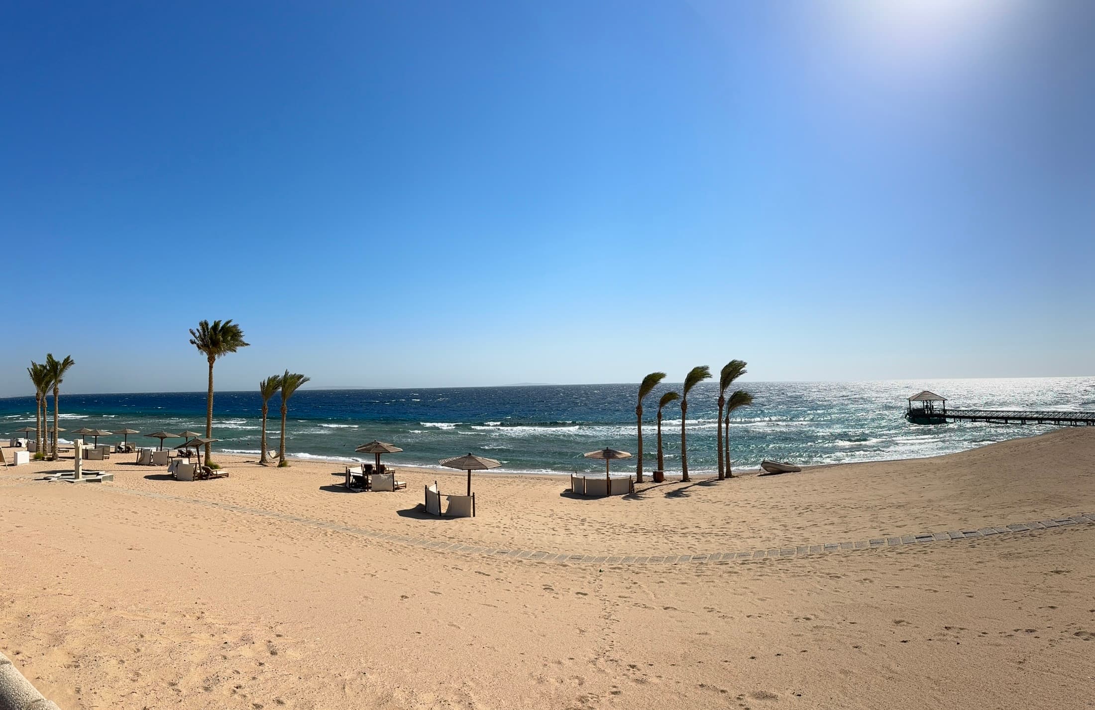 Egypt — Red Sea Walls, Desert Coast, and Living Coral