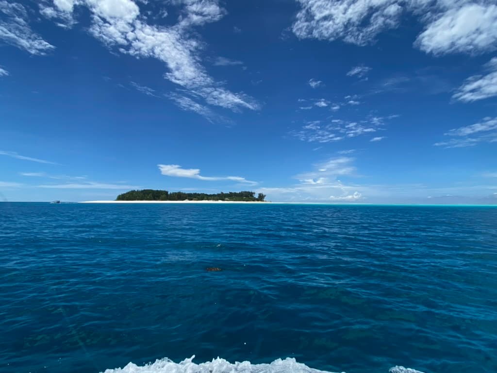 Tanzania — Zanzibar, the Serengeti, and the Indian Ocean