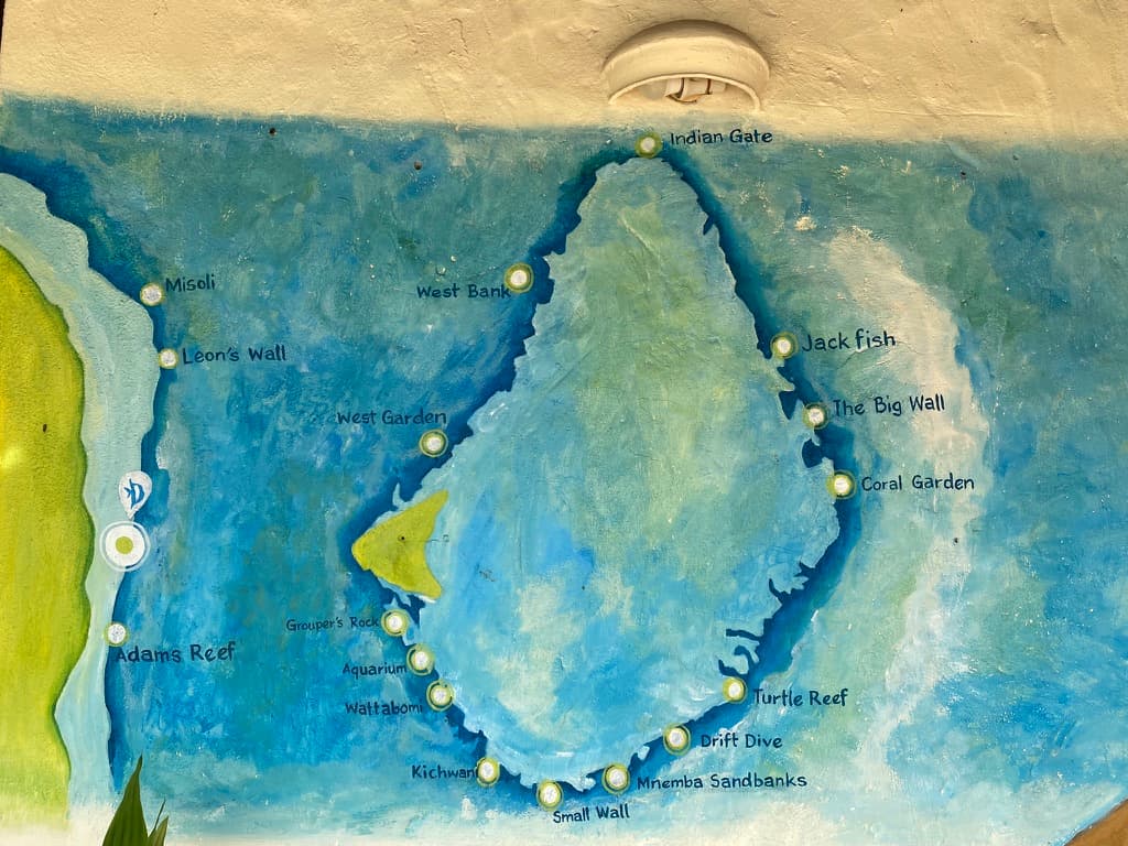 Reef structure at Mnemba Atoll — branching coral at depth