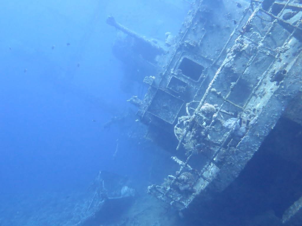 The Cedar Pride lying on its port side at depth — the hull and superstructure descending into the blue, already being reclaimed by the reef