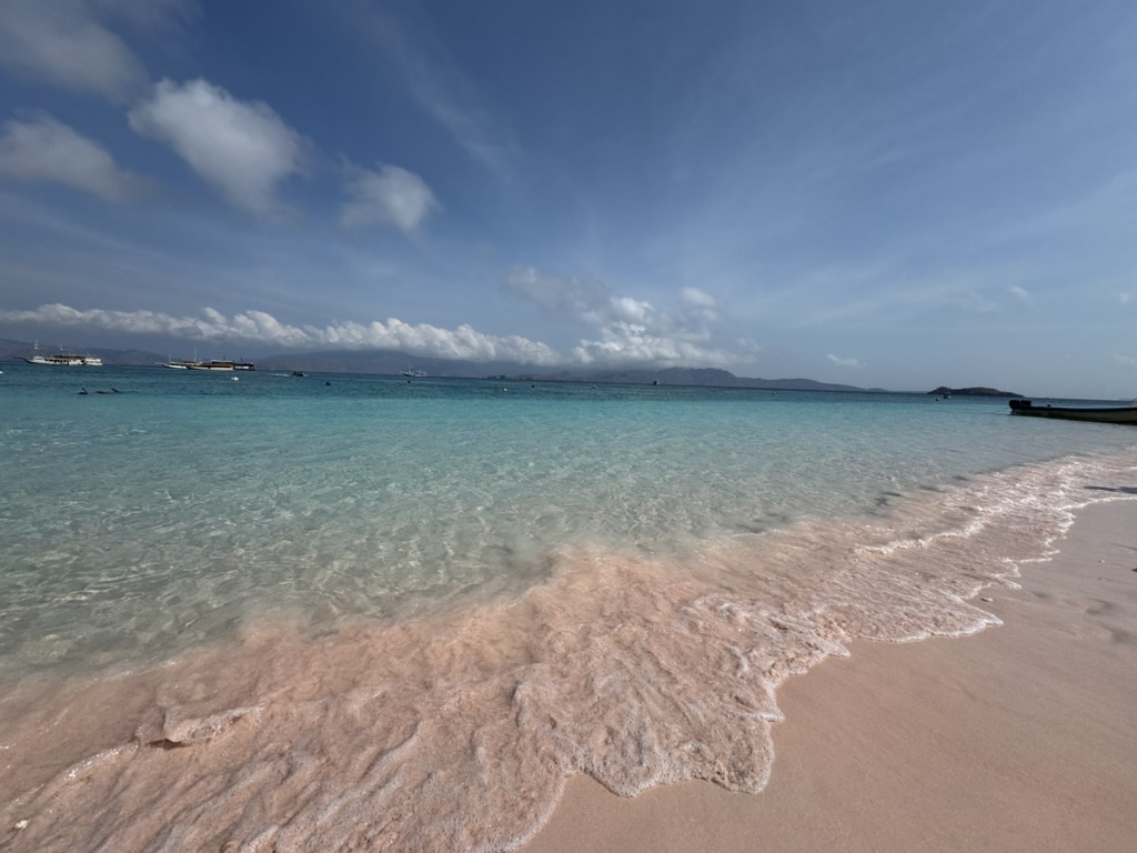 Pink Beach, Komodo Island — the sand colour from red coral fragments ground into white substrate over centuries