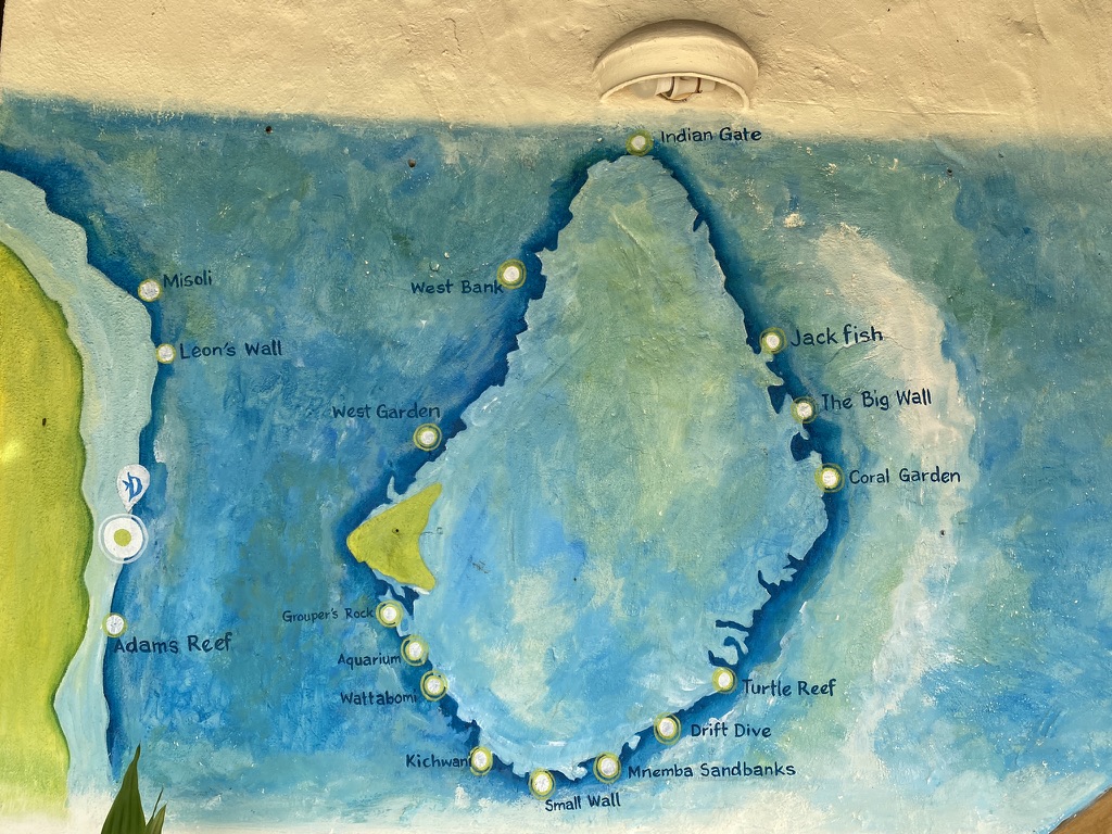 Reef structure at Mnemba Atoll — coral at depth